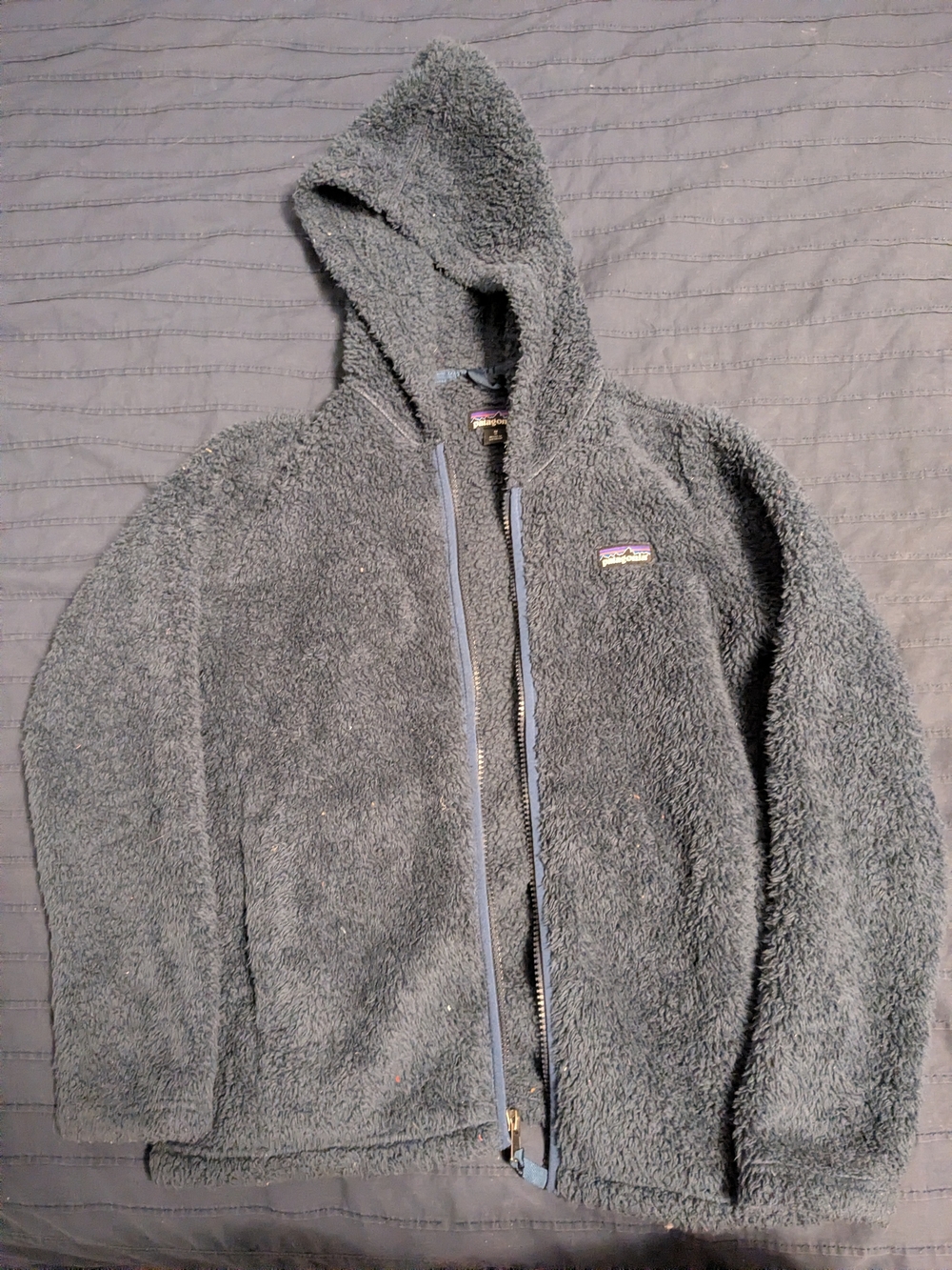 Patagonia Kids Gray Hooded Fleece Zip Jacket